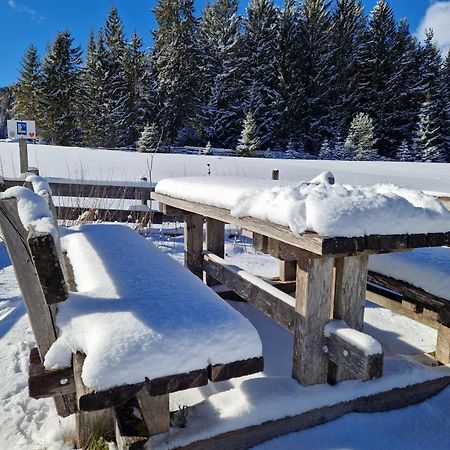 Wohlfuehl-Appartement Bergsee Family - Am Wildsee - Sup Und Schlitten For Free Seefeld in Tirol Eksteriør bilde