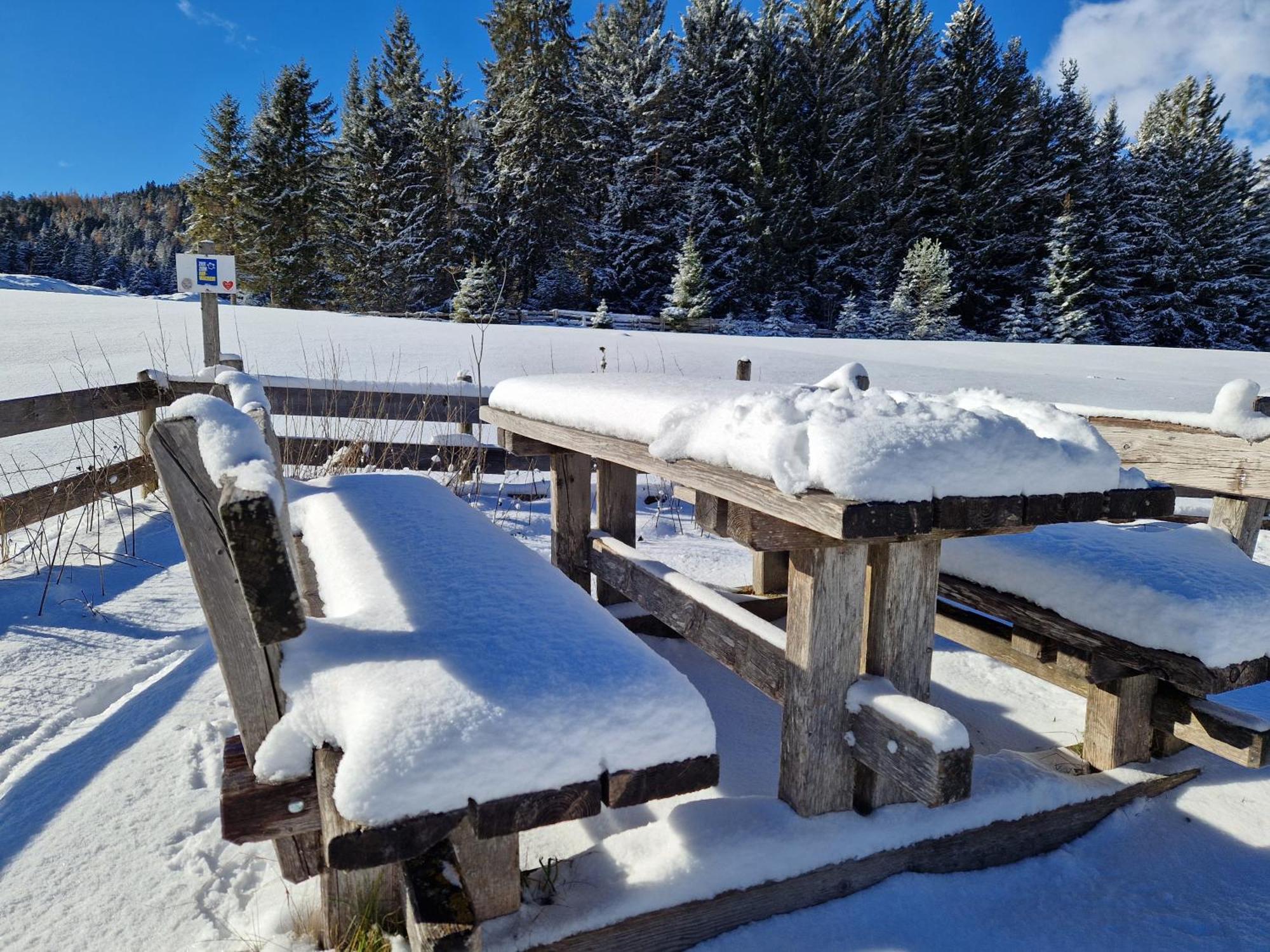 Wohlfuehl-Appartement Bergsee Family - Am Wildsee - Sup Und Schlitten For Free Seefeld in Tirol Eksteriør bilde