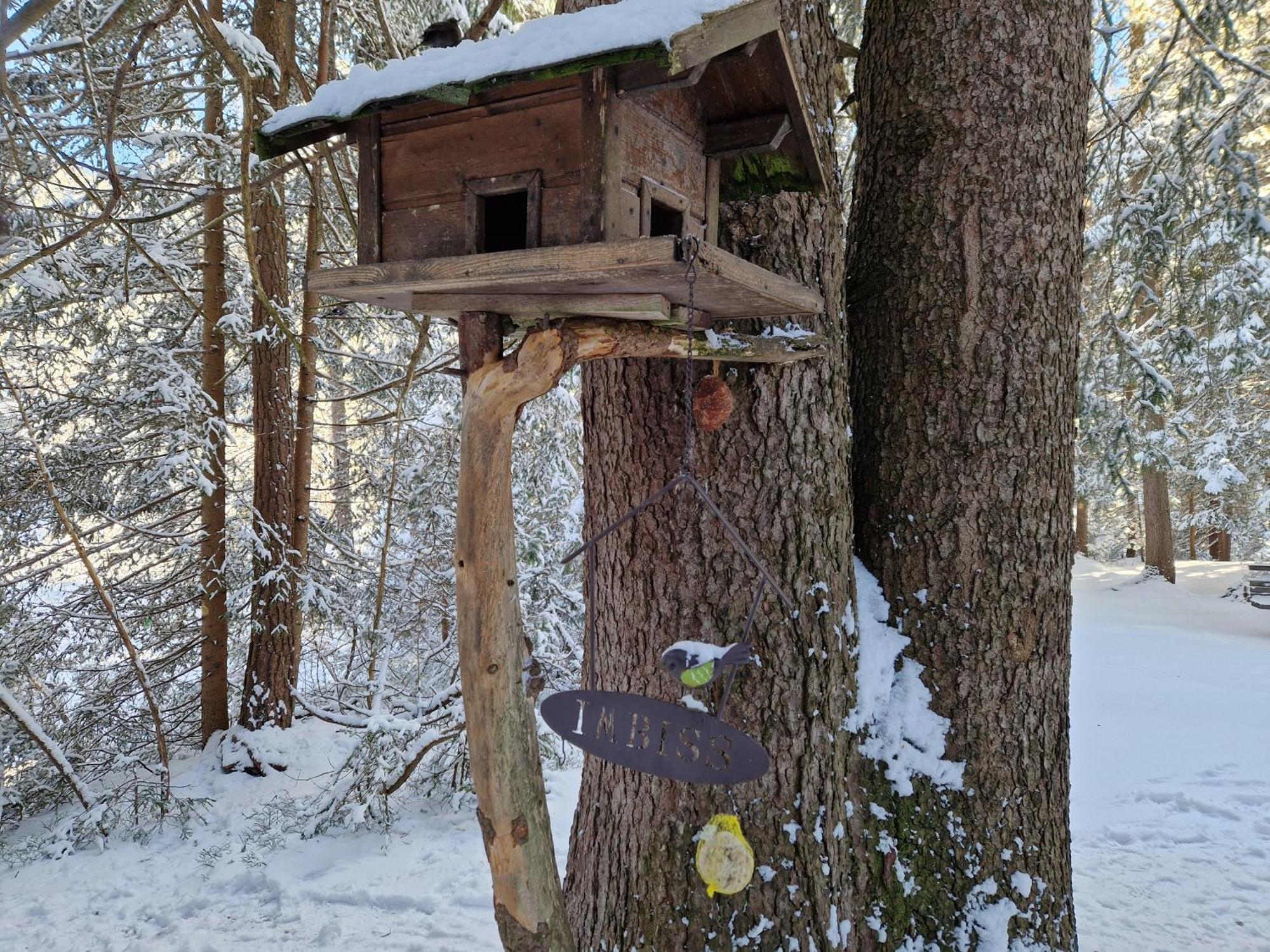 Wohlfuehl-Appartement Bergsee Family - Am Wildsee - Sup Und Schlitten For Free Seefeld in Tirol Eksteriør bilde